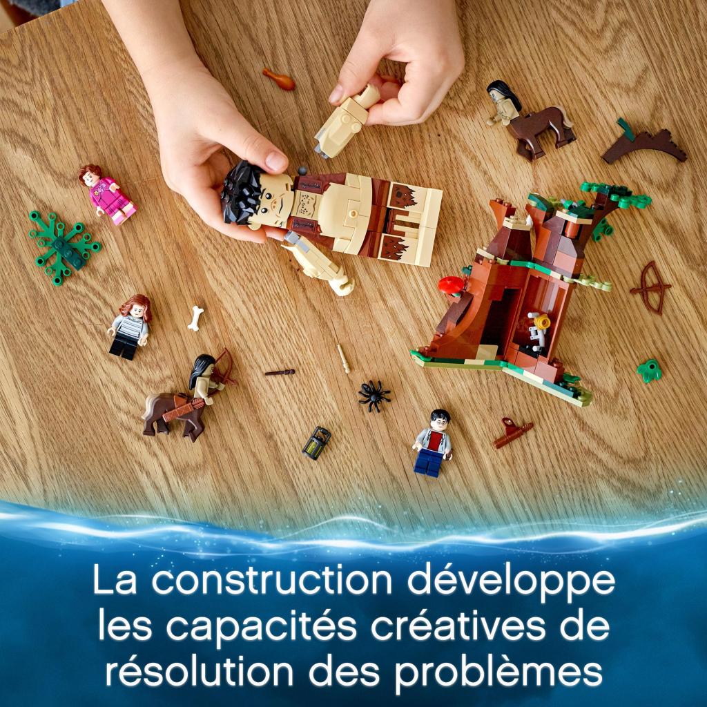 LEGO®-Harry-Potter-75967-La-Forêt-interdite-la-rencontre-dOmbrage-construction