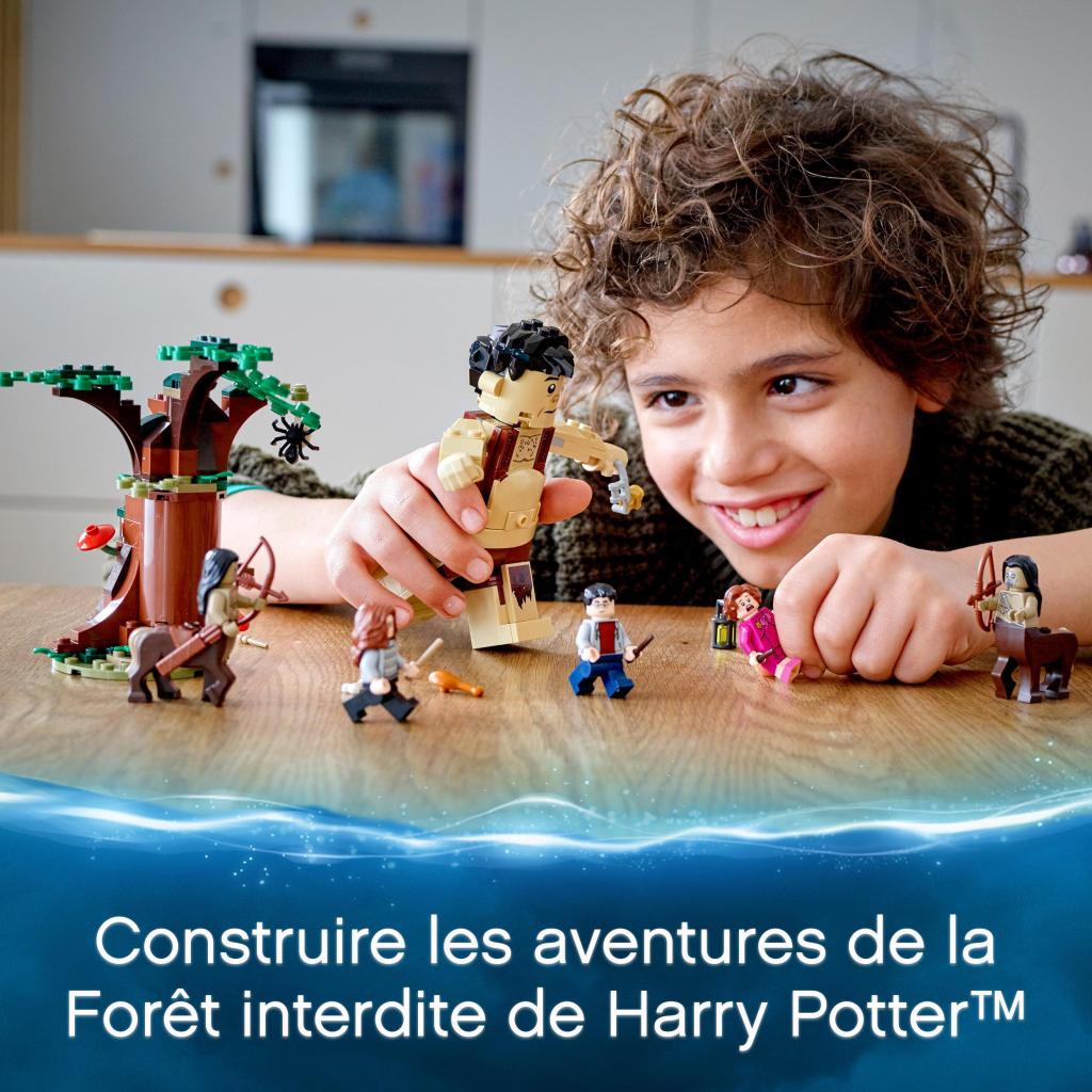 LEGO®-Harry-Potter-75967-La-Forêt-interdite-la-rencontre-dOmbrage-jeu