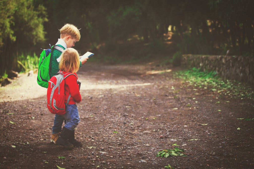 Organisez un rallye nature en famille avec la Cabane à Jouer de Cdiscount