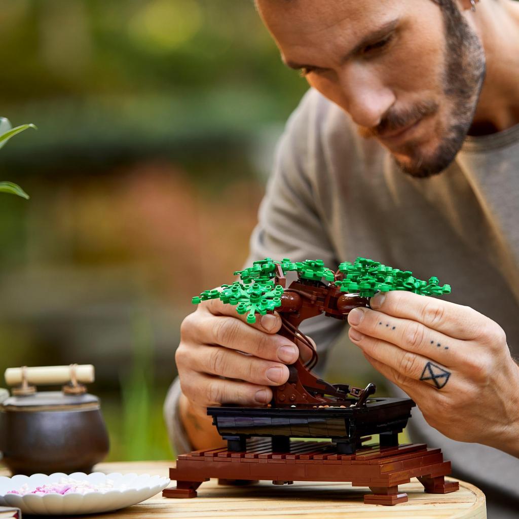 LEGO-Icons-10281-Bonsai-jeu