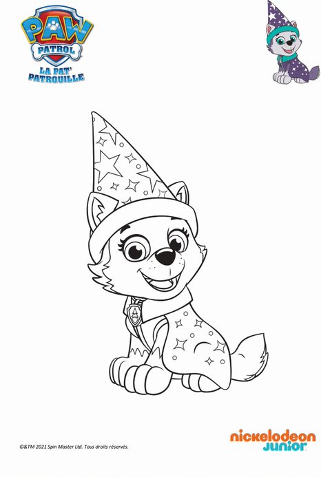 https://www.lacabaneajouerdecdiscount.com/wp-content/uploads/2021/10/coloriage-halloween-patpatrouille-everest-la-magicienne.jpeg