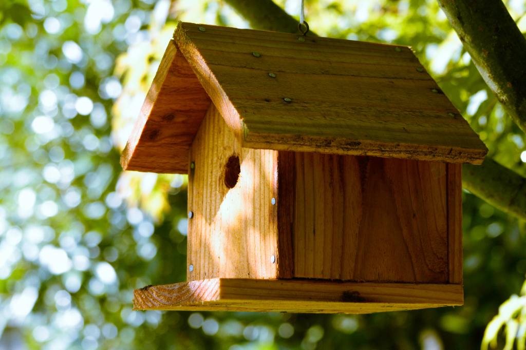 Wecandoo - Fabriquez votre nichoir à oiseaux en bois