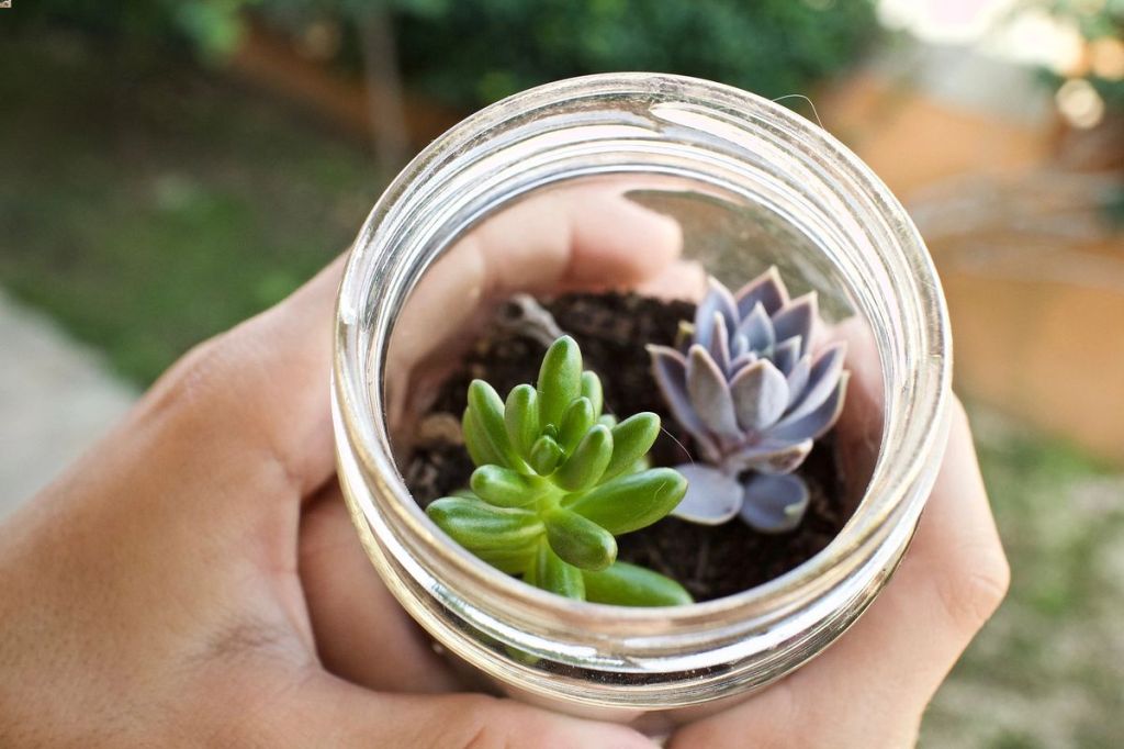 DIY décoration chambre bébé - Petit pot aquarium