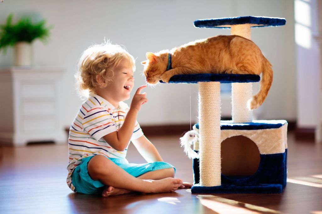 garçon qui joue avec un chat