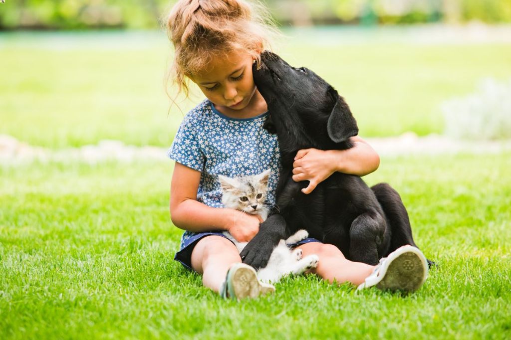 enfant et animal de compagnie