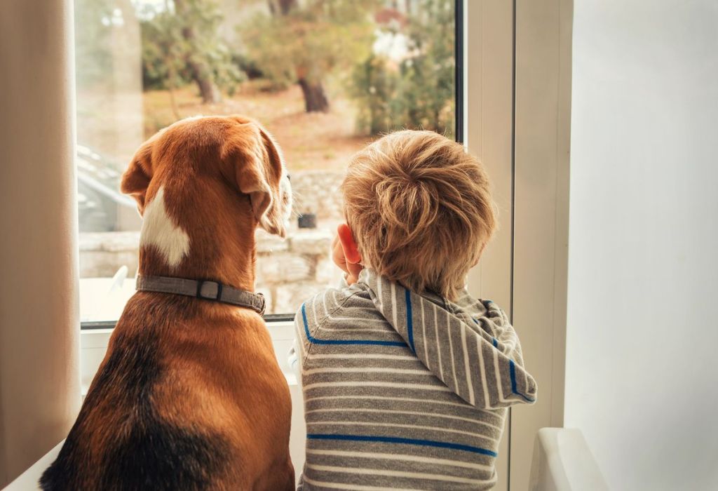 garçon qui joue avec un chien