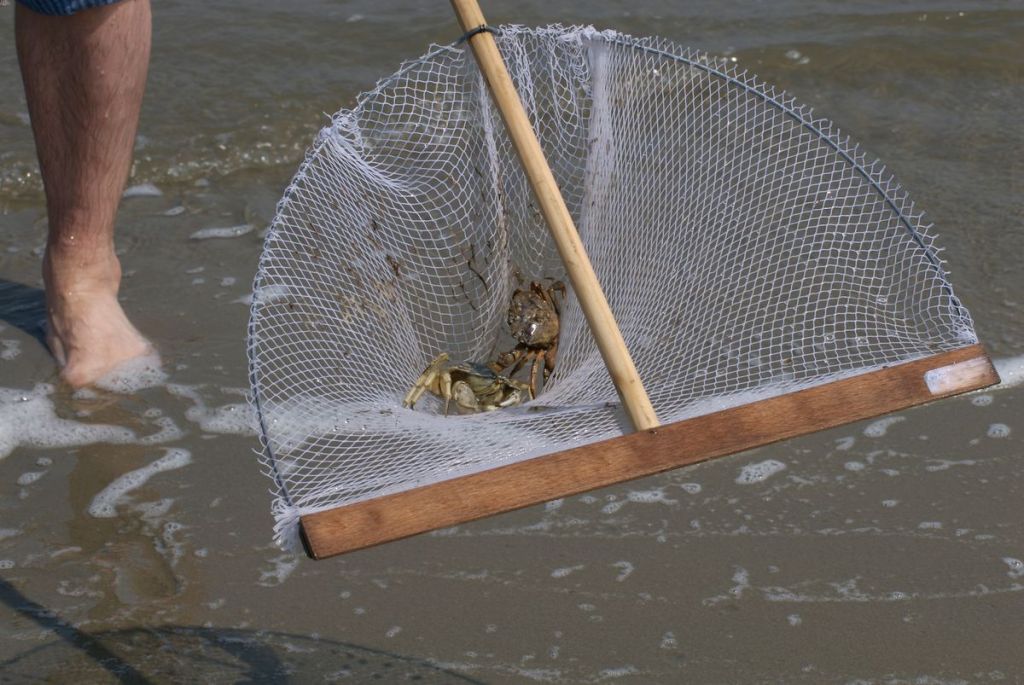 comment pécher crabes ?