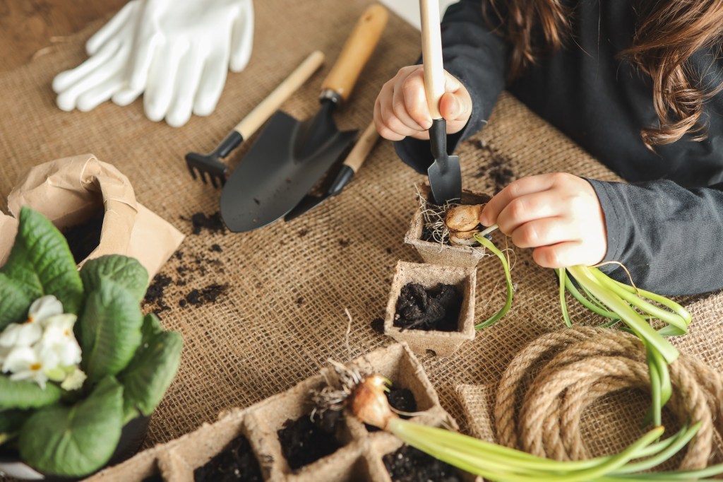 kit créatif jardinage