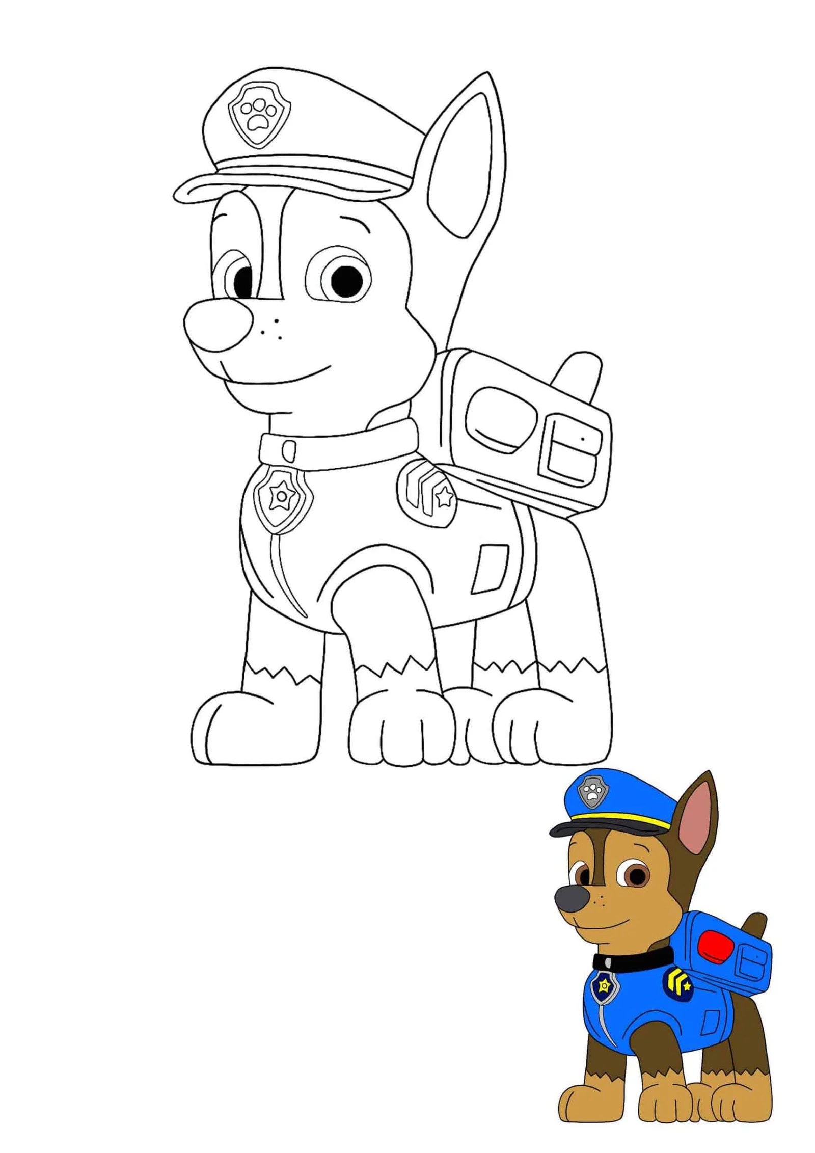 Coloriage Marshall And Rocky Of Pat Patrouille Dessin Pat Patrouille à  imprimer