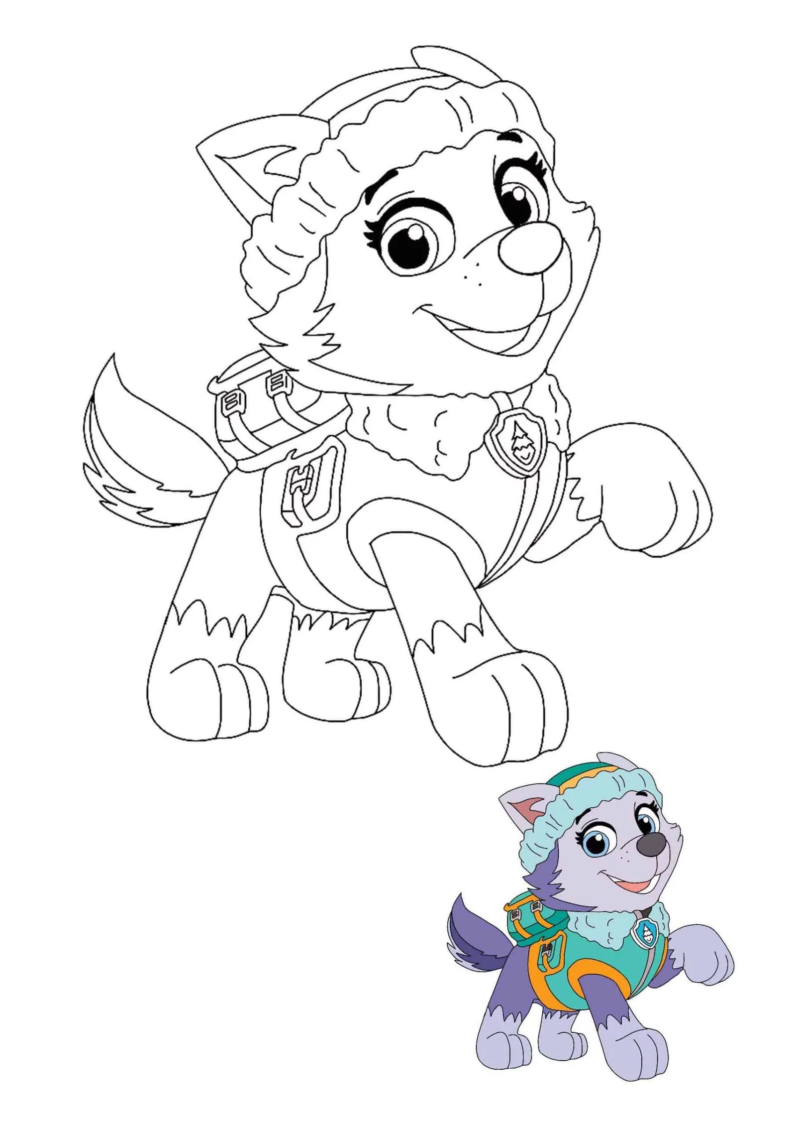 Coloriage d'Everest de la Pat' Patrouille avec son modèle en couleur, à imprimer