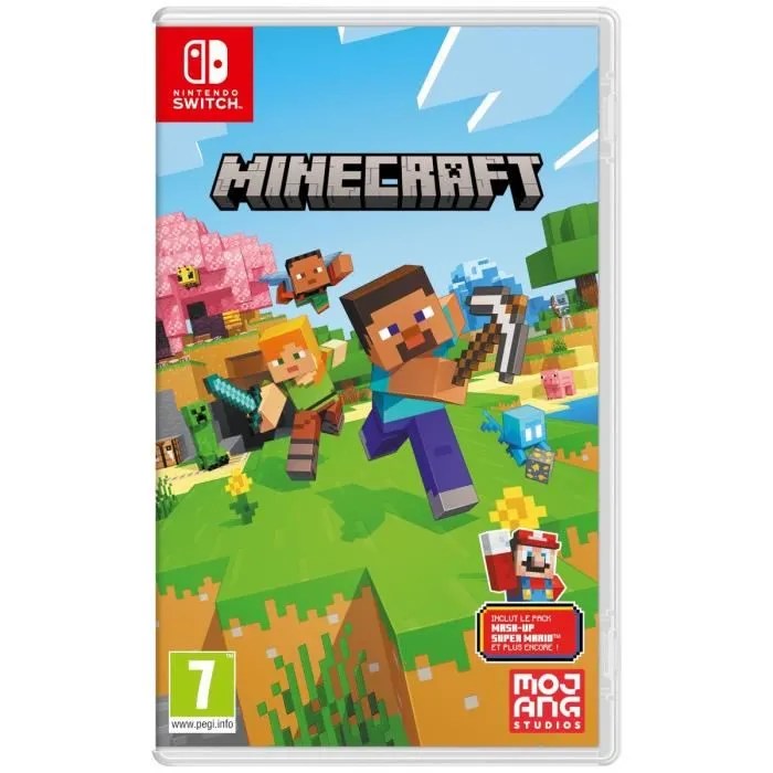 jeu vidéo Minecraft
