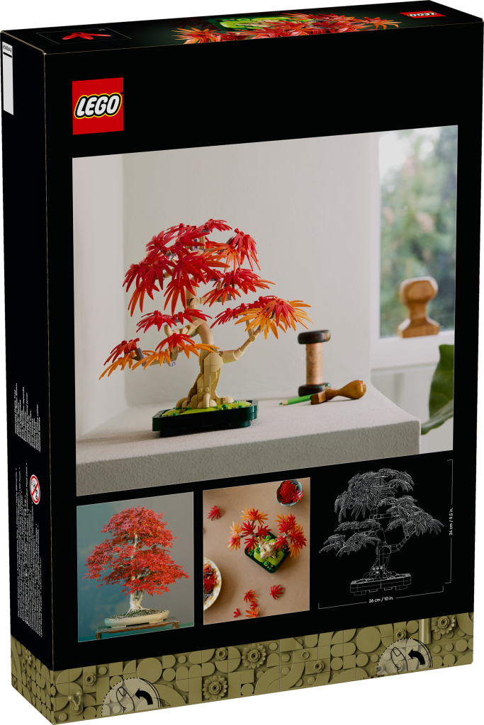 boîte LEGO Botanique 10348 : Bonsaï d’Érable Rouge du Japon