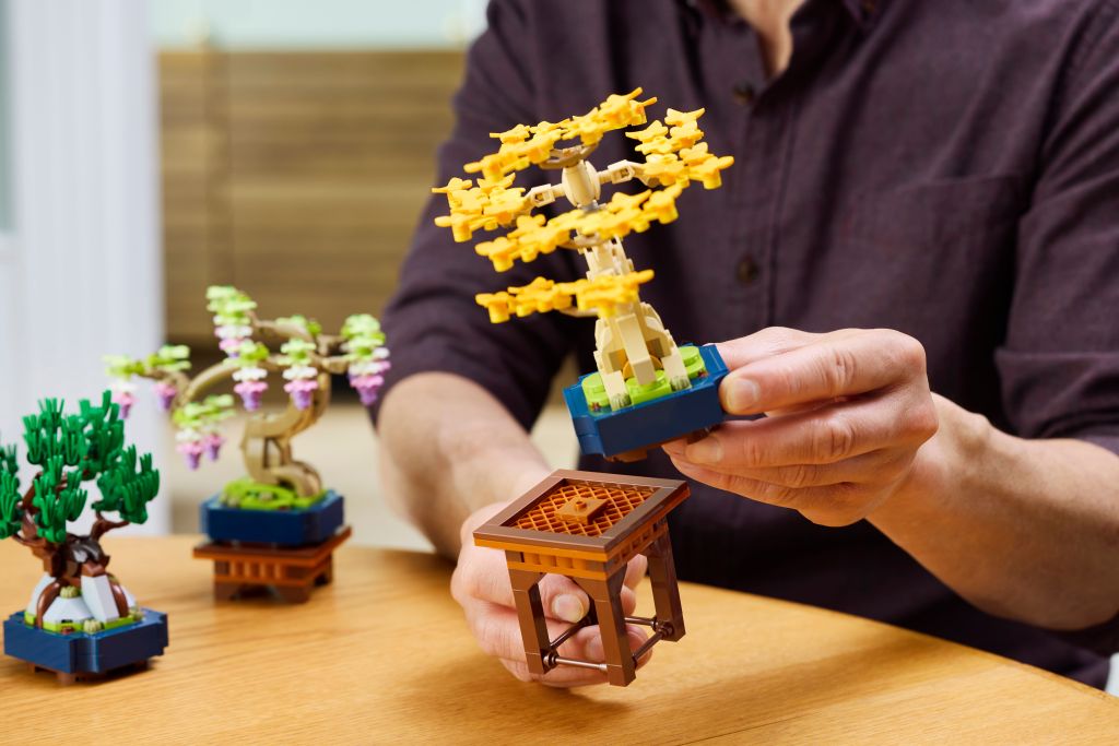 détails LEGO Botanicals 10373 Mini Bonsaïs