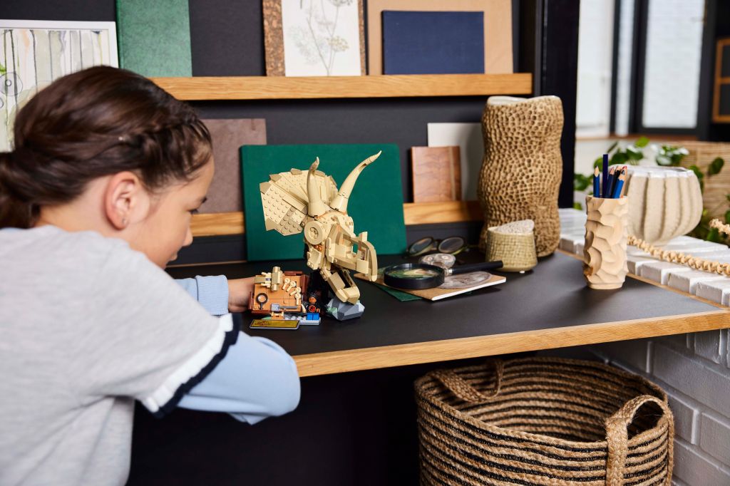 décoration LEGO Jurassic World 76969
