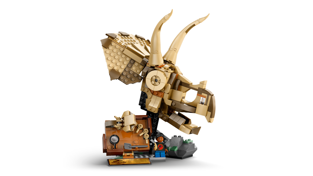 détails LEGO Jurassic World 76969