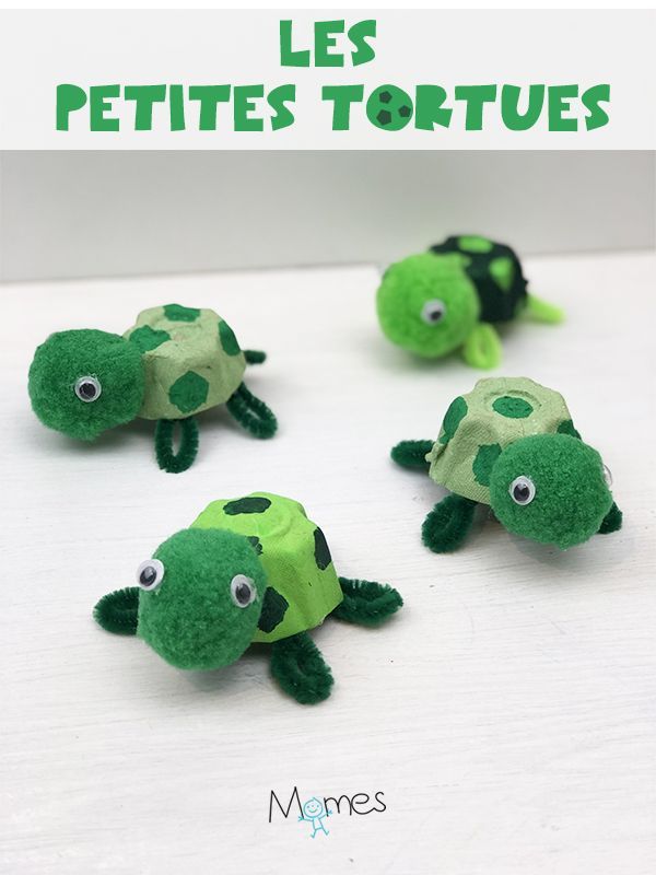 bricolage tortue maternelle