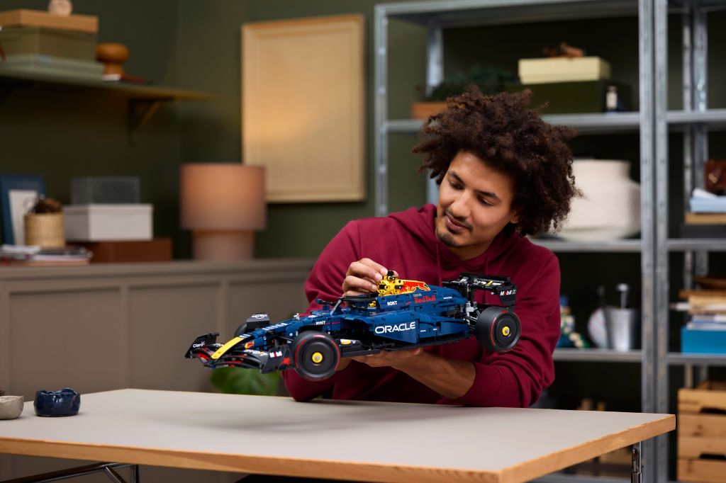 LEGO Technic 42206 : F1 Oracle Red Bull Racing RB20