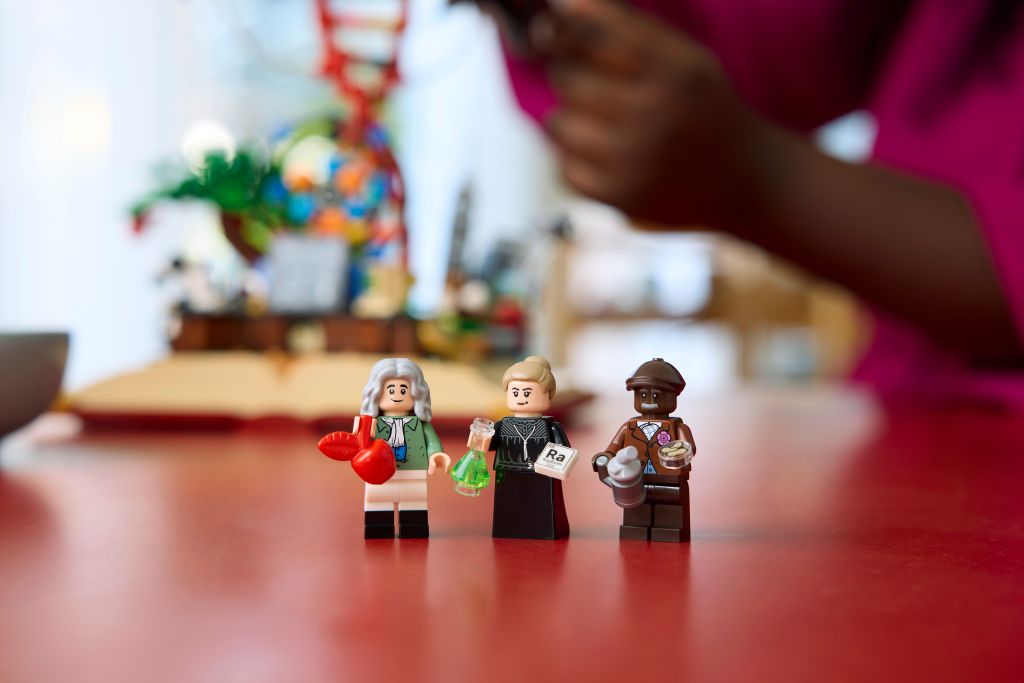 personnages LEGO Ideas 21355 : L’Évolution des STEM