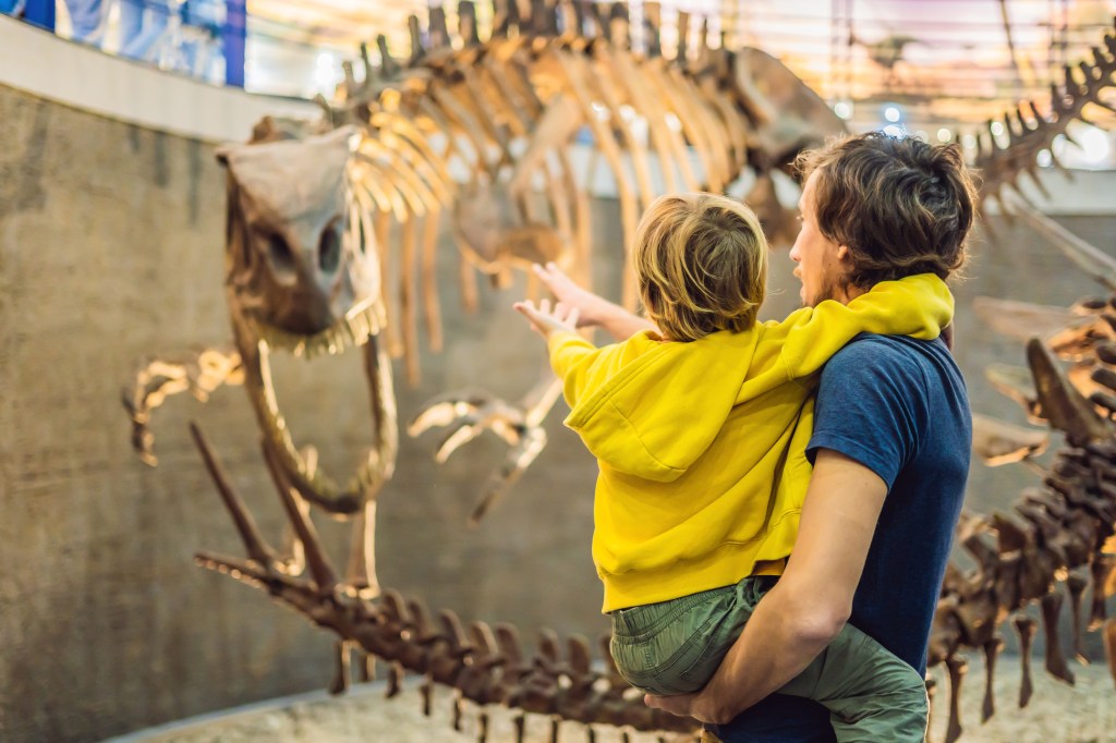 fiche maternelle dinosaure