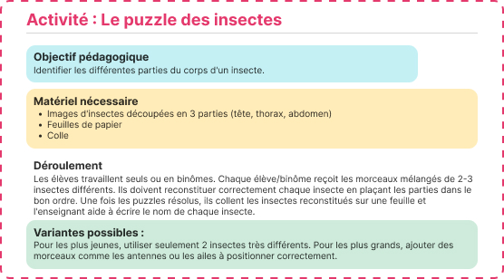 puzzle des insectes