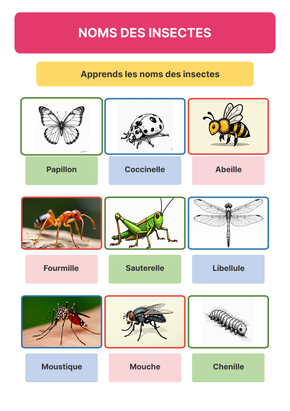 Fiches et activités sur les insectes en maternelle