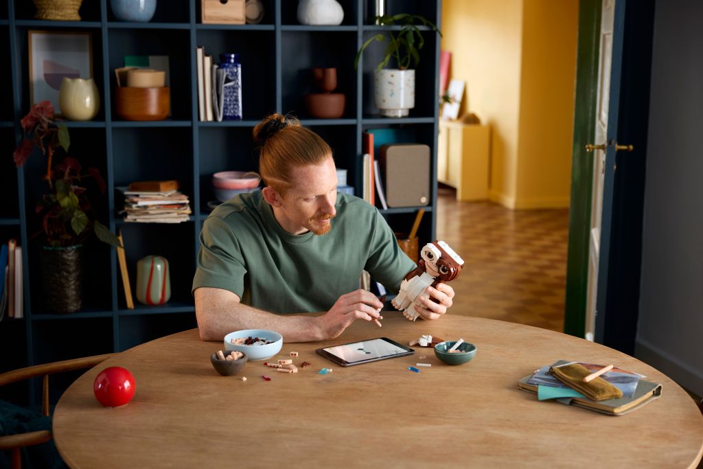 construction LEGO Ideas 21361 Gremlins : Gizmo