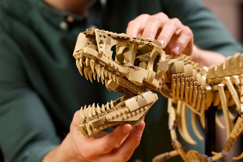 détails LEGO Jurassic World 76968 : Les Fossiles de Dinosaures - le Tyrannosaurus Rex