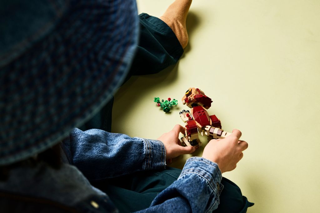 détails LEGO Jurassic World 76970 : Dolores, le bébé aquilops