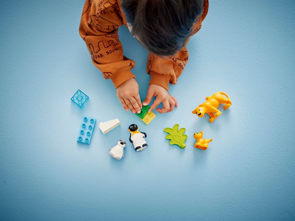 construction LEGO DUPLO Town 10442 Familles d’animaux sauvages : pingouins et lions