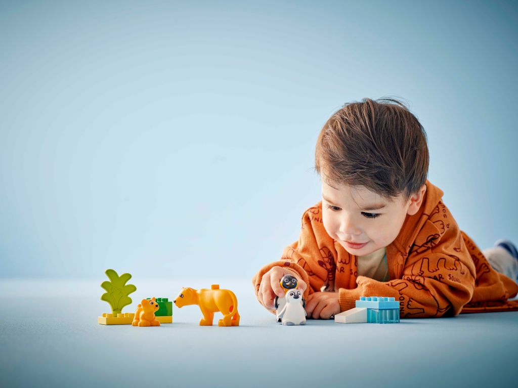 LEGO DUPLO Town 10442 Familles d’animaux sauvages : pingouins et lions