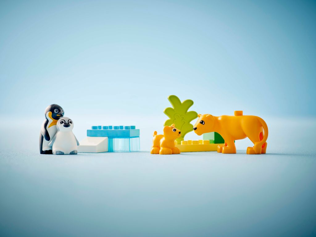 détails LEGO DUPLO Town 10442 Familles d’animaux sauvages : pingouins et lions
