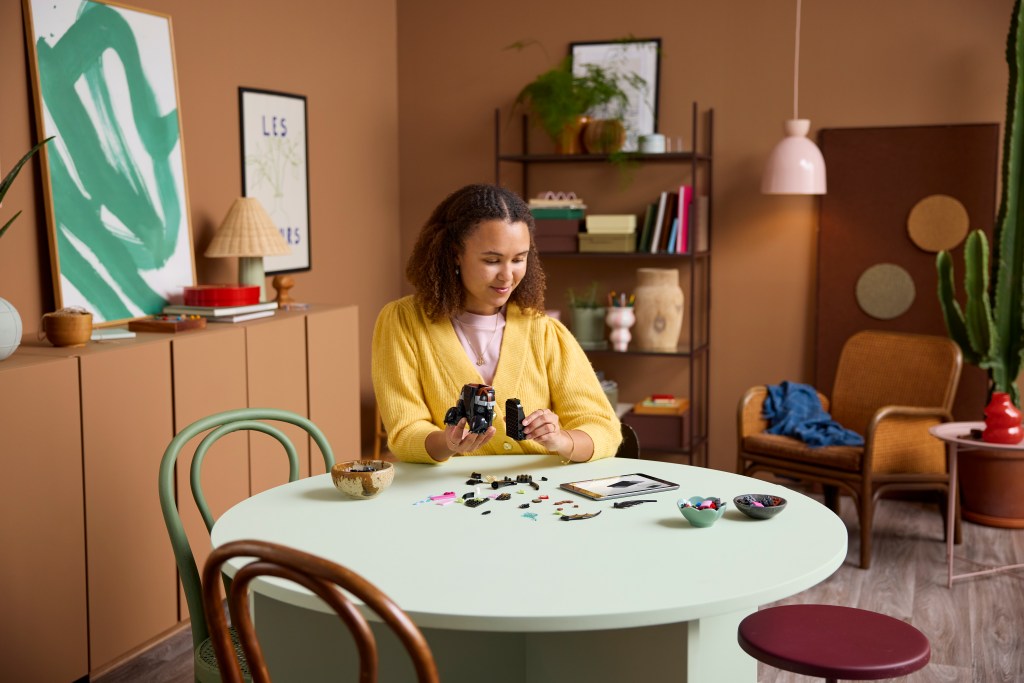 construction LEGO Icons 10375 Dragons : Krokmou