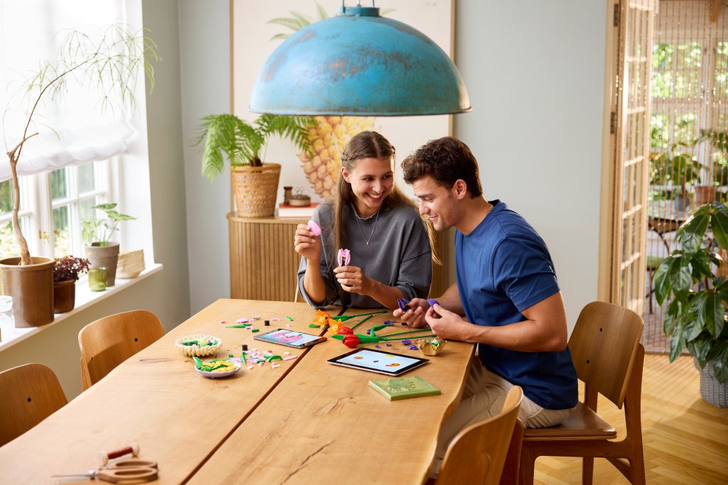 LEGO Botanicals 11501 Le Bouquet de Tulipes