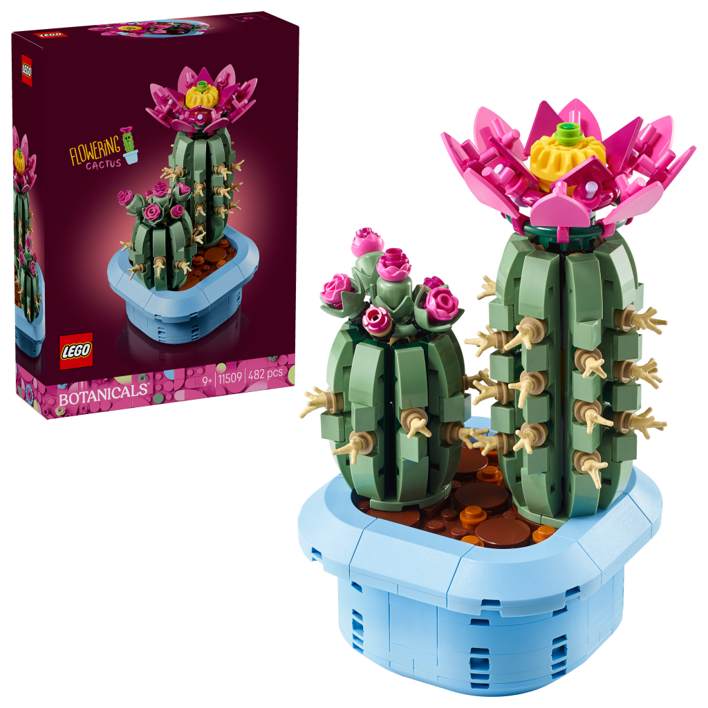 boîte LEGO Botanicals 11509 Cactus Fleuri