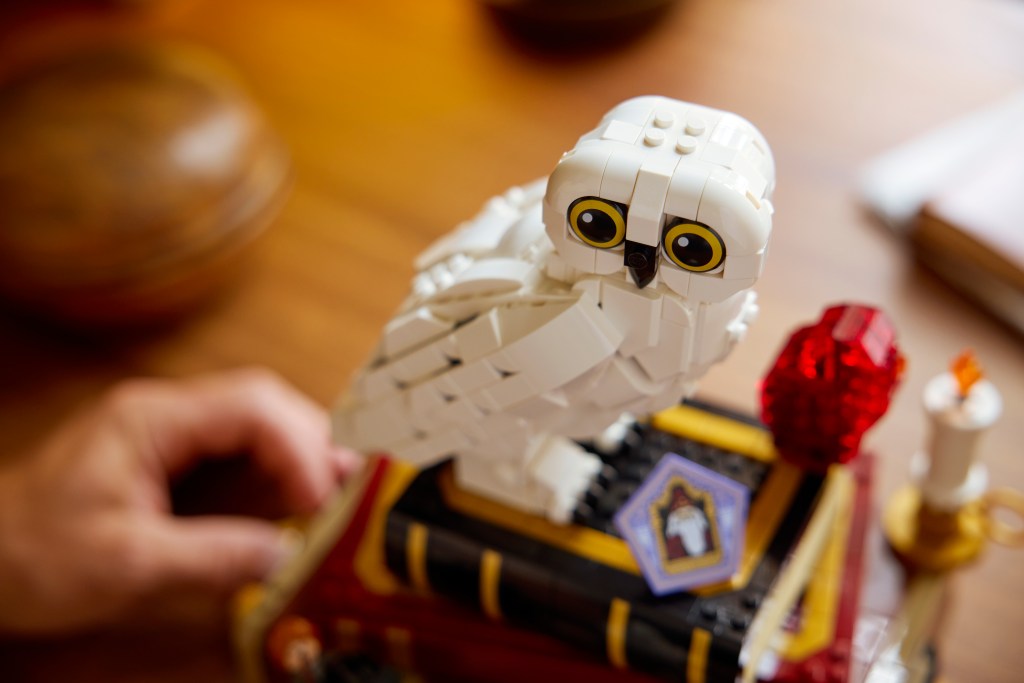 détails LEGO Harry Potter 76466 L’École des Sorciers