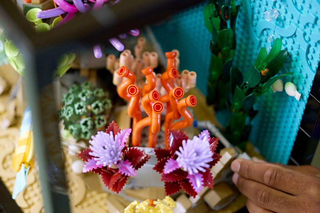 détails LEGO Icons 10366 L’Aquarium Tropical