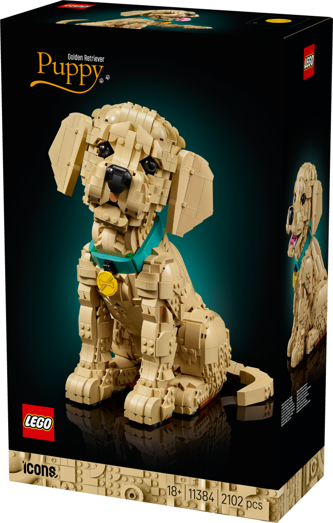 boîte LEGO Icons 11384 Le Chiot Golden Retriever