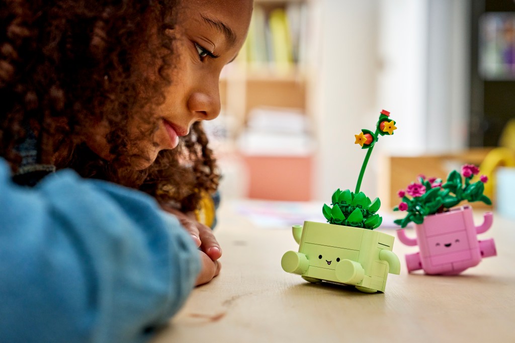 LEGO Botanicals 11506 Petites Plantes Dansantes