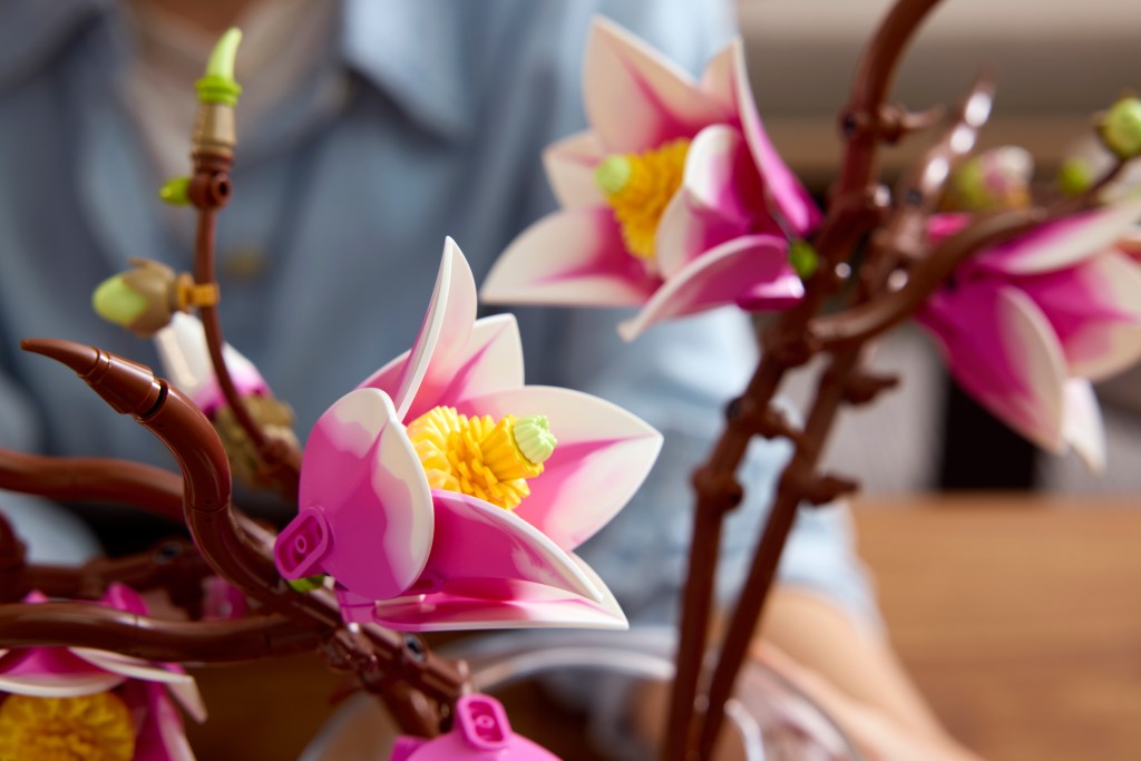 détails LEGO Botanicals 11510 Branches de Magnolia