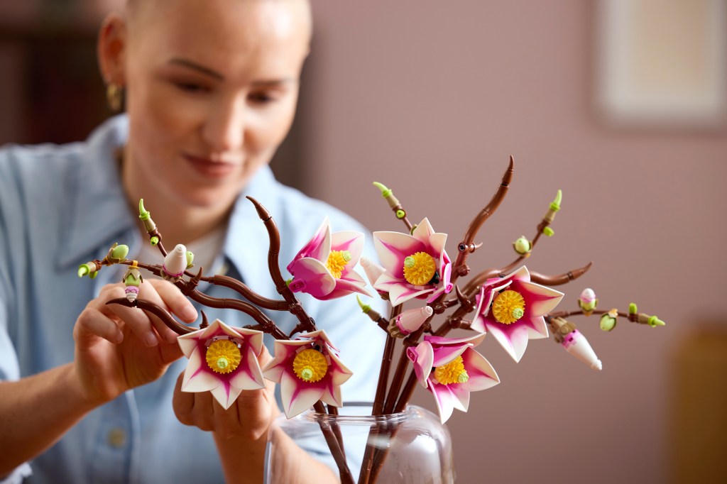 LEGO Botanicals 11510 Branches de Magnolia