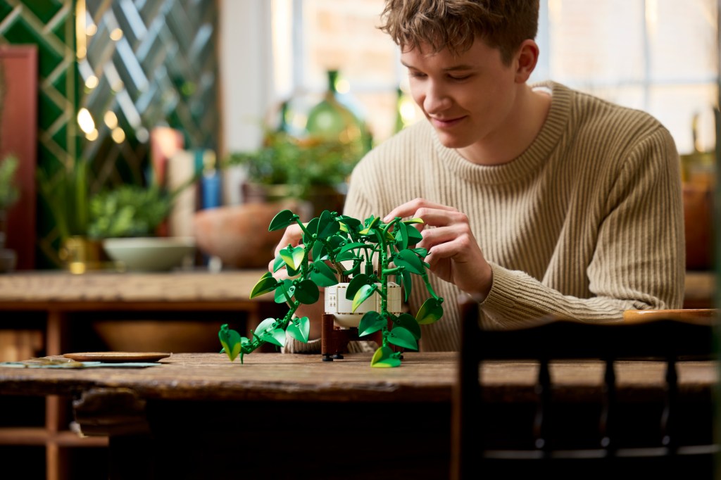 LEGO Botanicals 11512 Pothos Doré Tombant