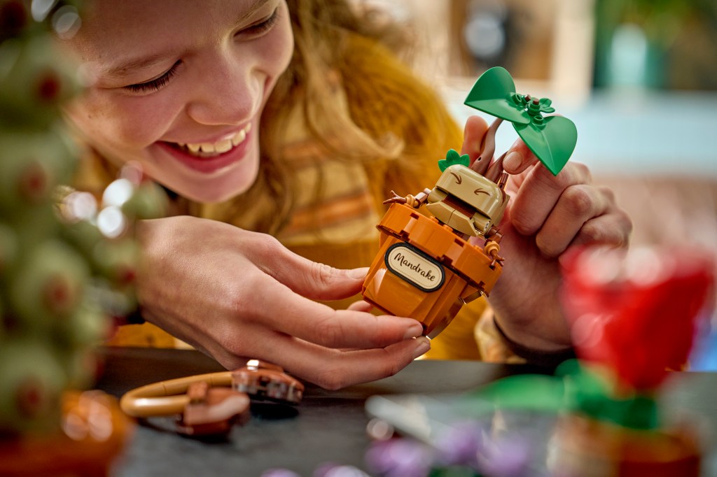 détails LEGO Harry Potter 76474 Les Plantes du Cours de Botanique de Poudlard