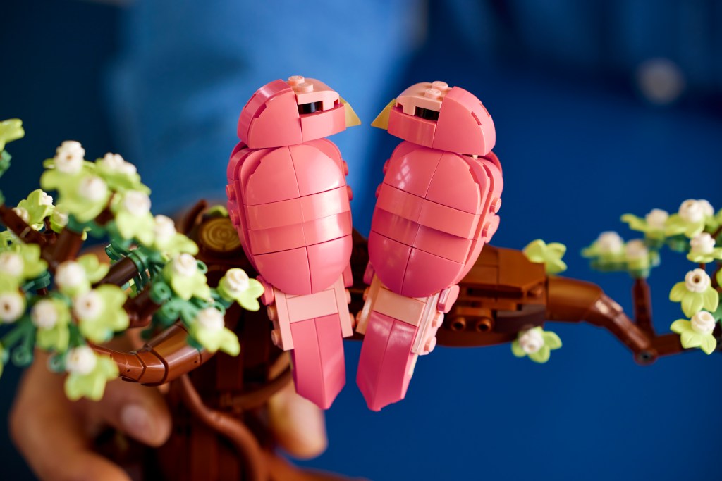 détails LEGO Ideas 21365 Les oiseaux amoureux