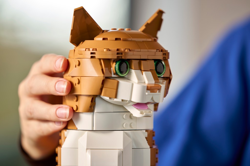 détails LEGO Ideas 21376 Le chat roux