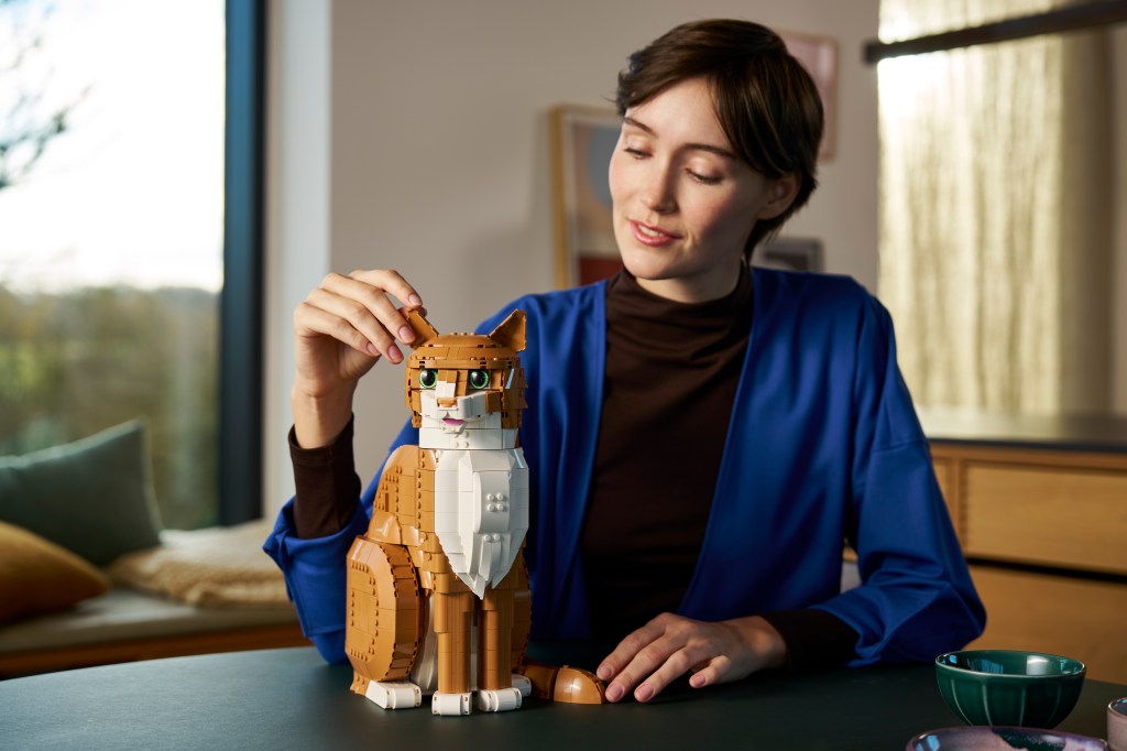 LEGO Ideas 21376 Le chat roux