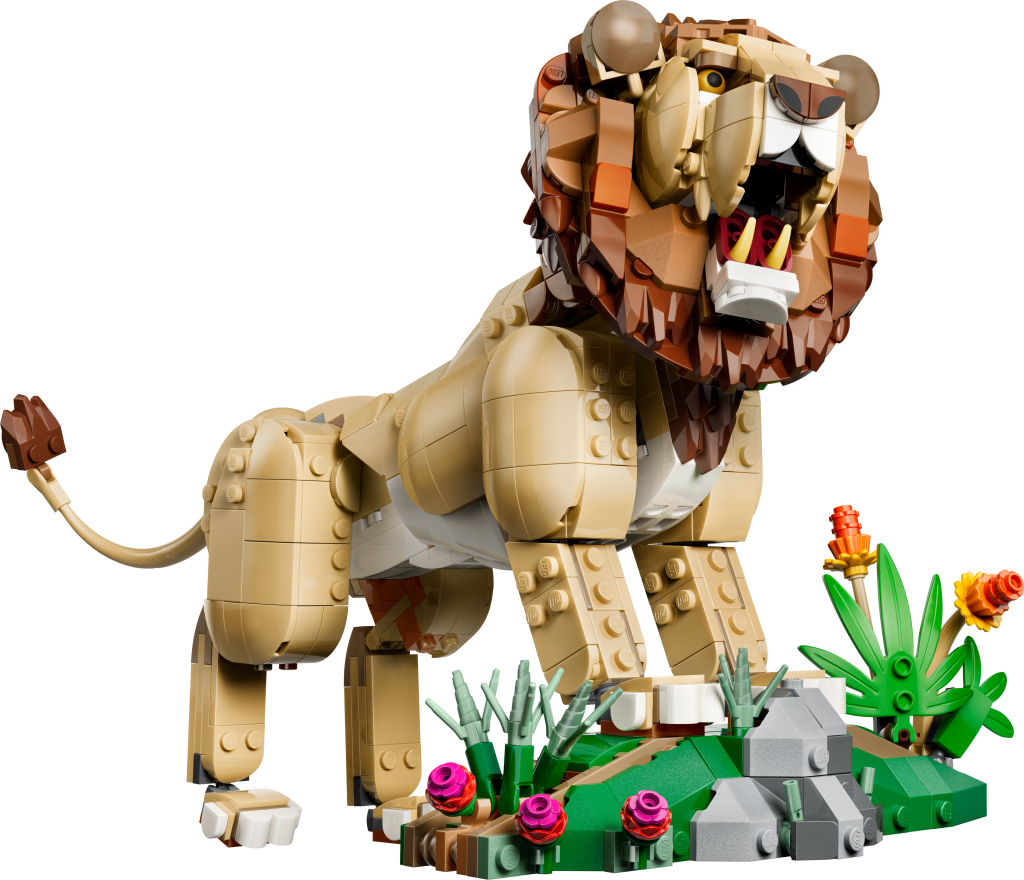 LEGO Creator 3-en-1 31386 Animaux Sauvages : Le Lion Majestueux