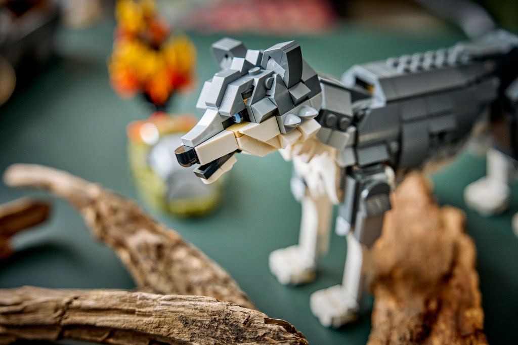 détails LEGO Creator 3-en-1 31393 Les Animaux de la Forêt : le Loup Gris