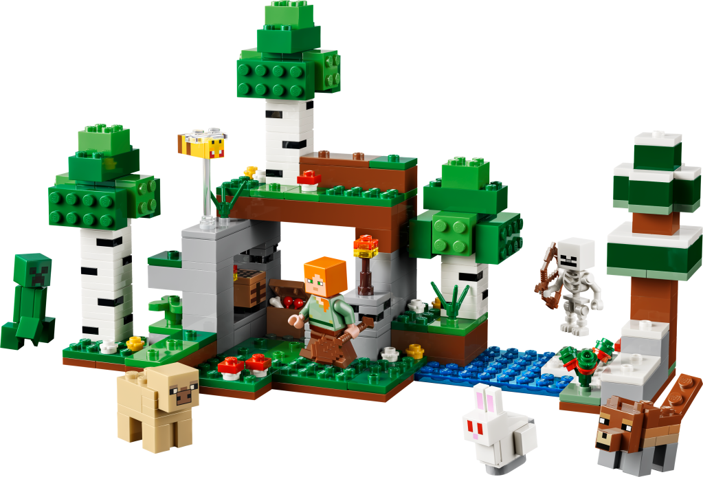 LEGO Minecraft 21593 L'Aventure de la Première Nuit