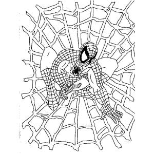 coloriage spider-man