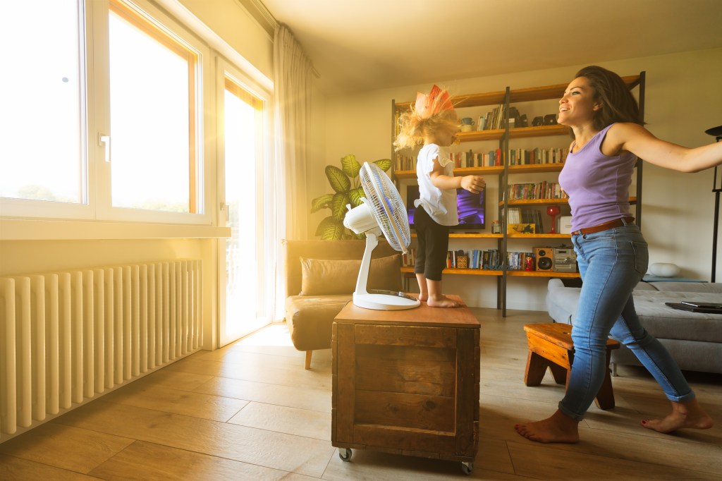 activité intérieur canicule